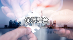 优势整合